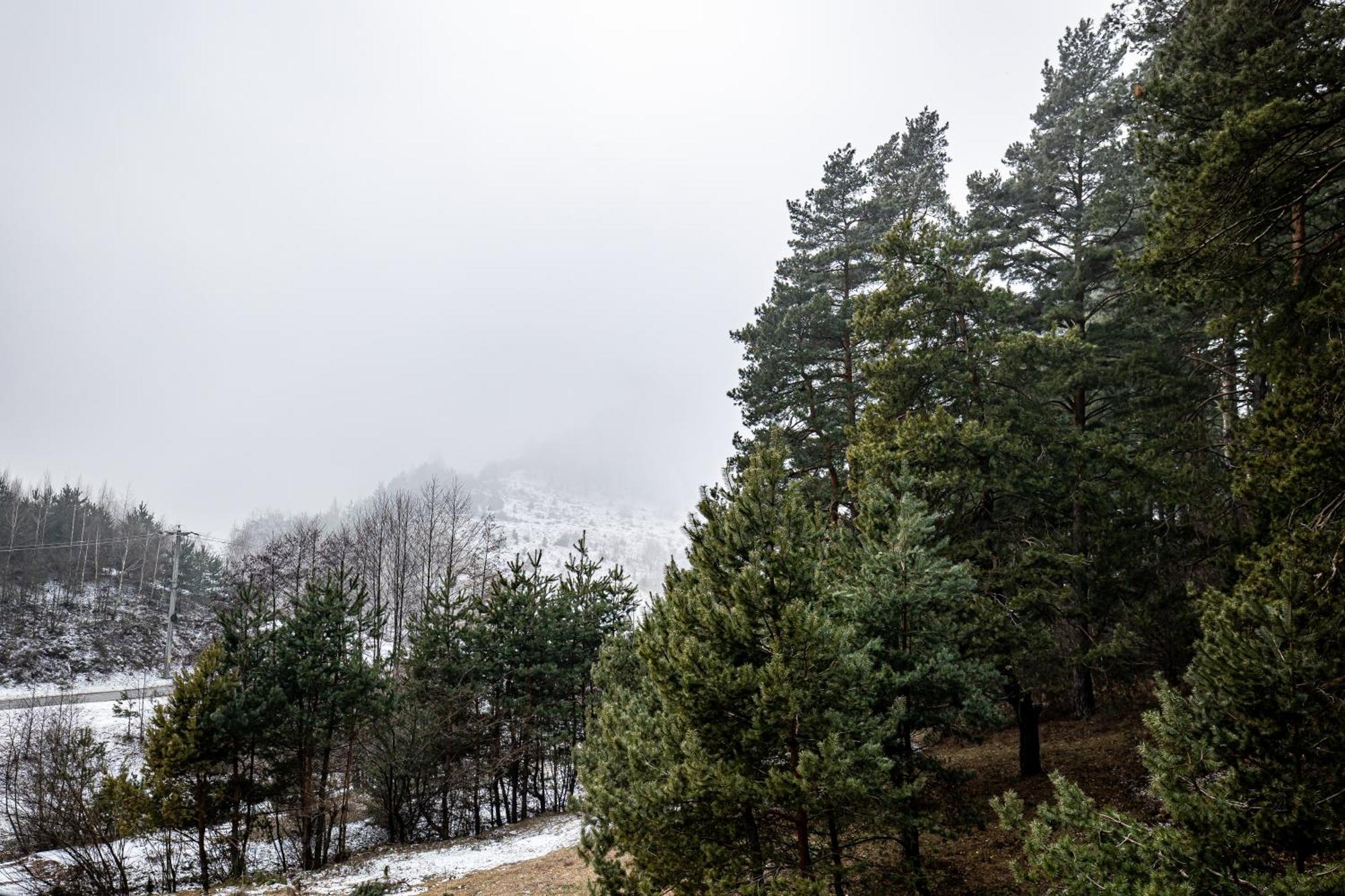 Carpentiere Arena Hotel Răşinari Eksteriør billede